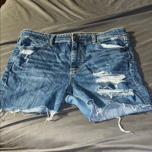 American Eagle Outfitters Light Blue Denim Shorts